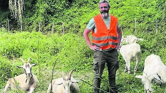 <p class="contextmenu internal_Caption">William Walsh with some of his herd of goats in Enniskeane</p>