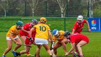 Cork stunned on home turf by Antrim in camogie league Cork stunned on home turf by Antrim in camogie league
