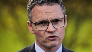 Minister slams ‘taxpayers’ money going up in smoke’ at new Louth soccer pitch