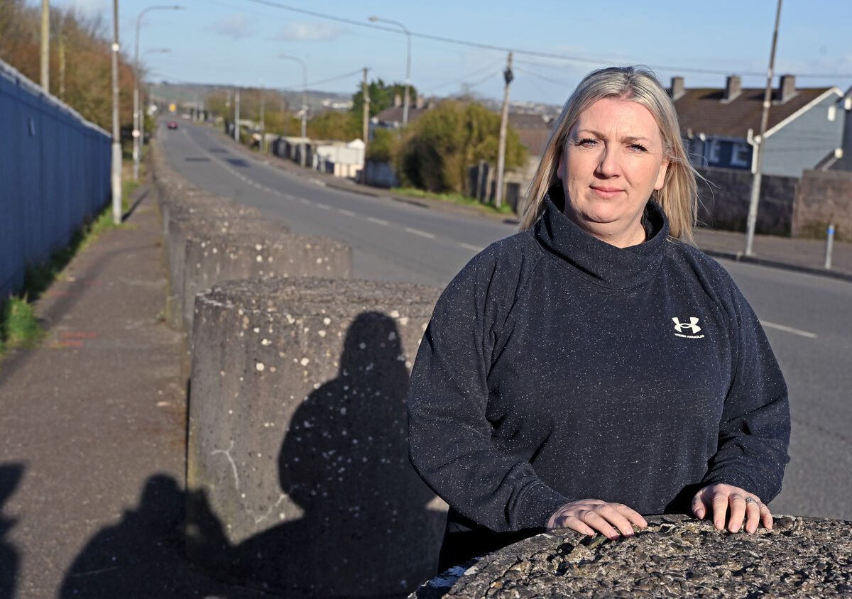  Sinn Féin councillor Michelle Gould said: 'I may use it to cross reference something, as I would with Google on the web, but, other than that, no.'