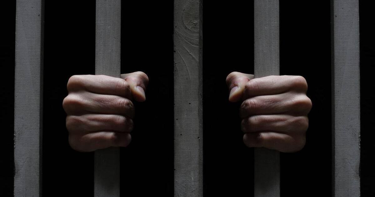 The woman said in her victim impact statement: 'I was thinking that things like this only happen in movies.'