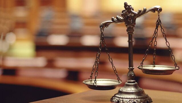 <p>Judge Sinéad Behan wanted to know how the accused had gathered compensation out of social welfare, when she was raising four children.</p>