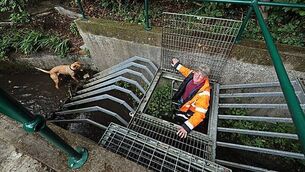 Rescue service volunteers hoped to find Noah Donohoe alive, inquest told Rescue service volunteers hoped to find Noah Donohoe alive, inquest told