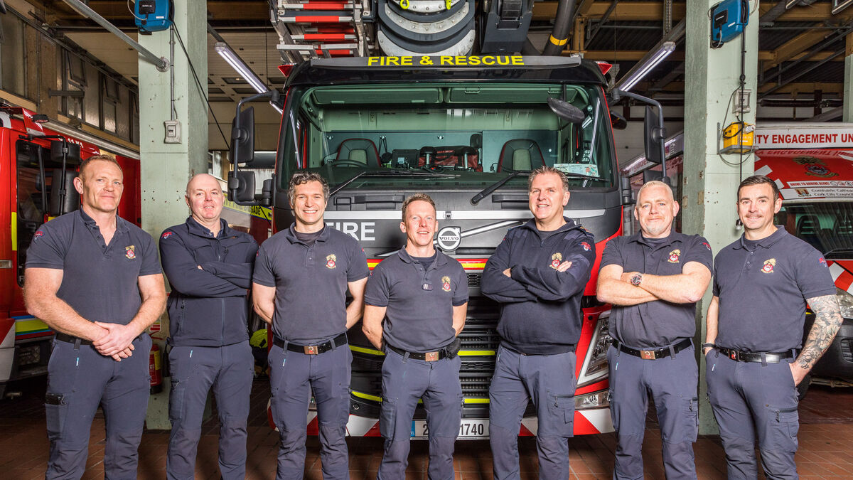 Saving cows from drowning just another day's work for Cork City Fire Brigade