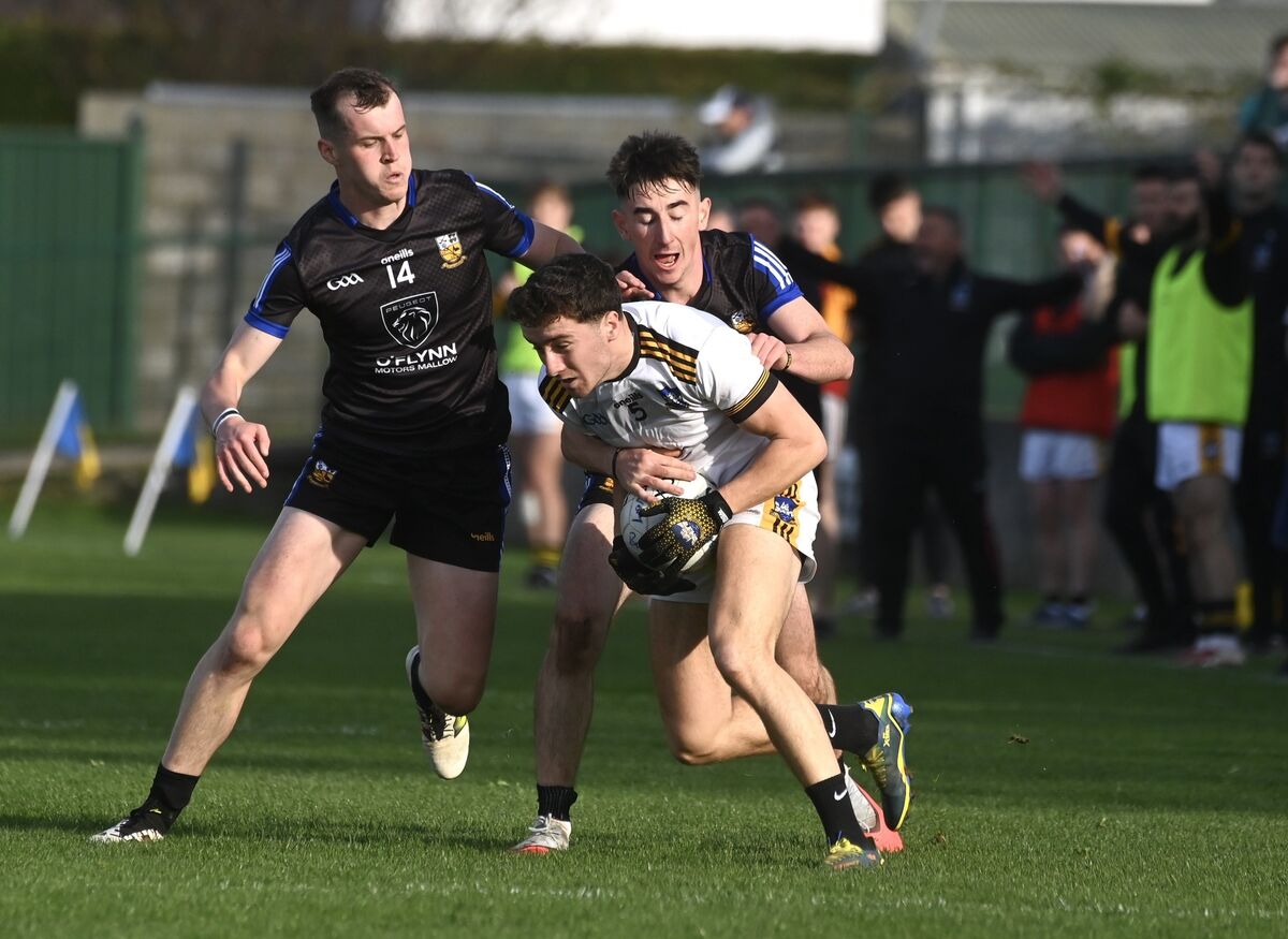  Michael O’Neill and Aaron Trimm, Buttevant keep the pressure on Conor Dodd, Canovee in the McCarthy Insurance Group PJFC SF Buttevant vs Canovee in Glantane. Picture: Larry Cummins