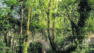 <p class="contextmenu internal_Caption">The remnants of Ballincollig Gunpowder Mills still dot the town’s regional park</p>