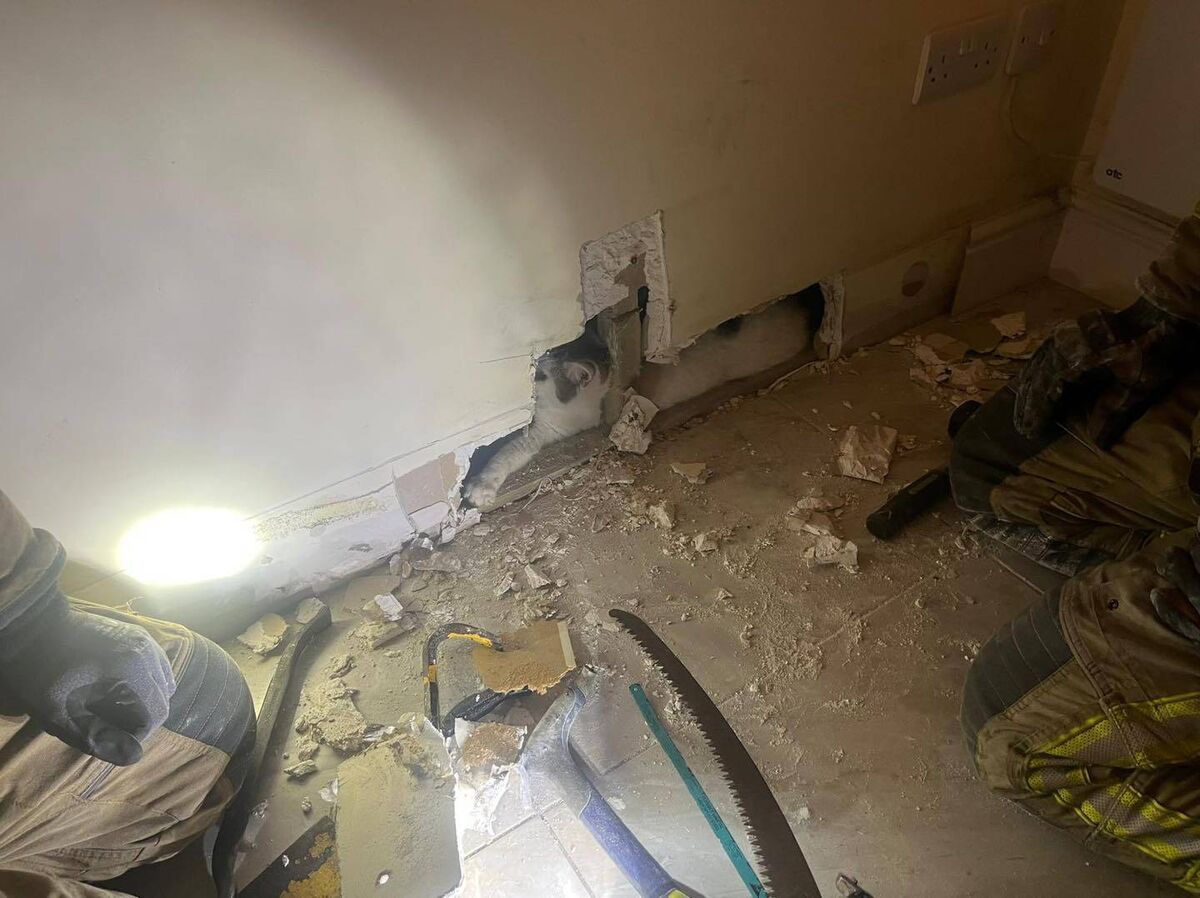 Using a thermal imaging camera (TIC), firefighters successfully located and rescued the cat. Picture: Cork City Fire brigade