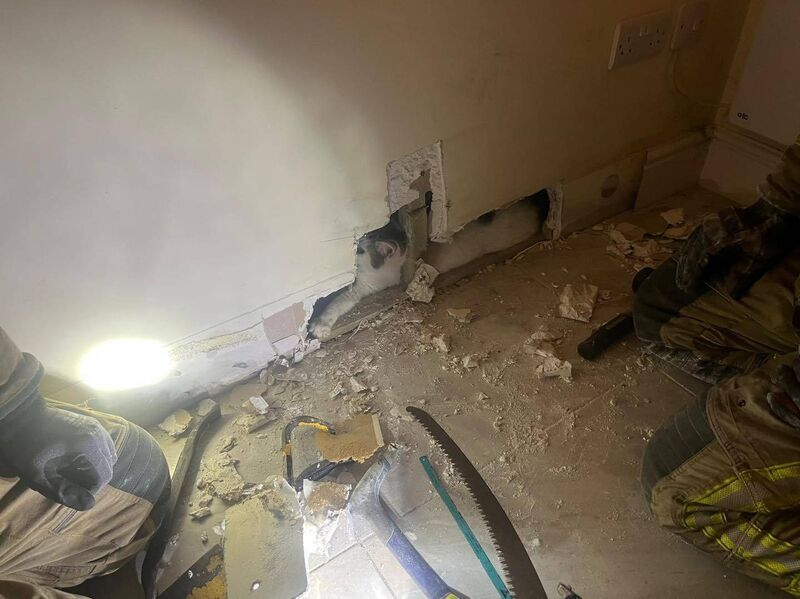 Using a thermal imaging camera (TIC), firefighters successfully located and rescued the cat. Picture: Cork City Fire brigade