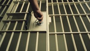 <p>Judge Helen Boyle said the incident 'had a significant impact on the lady who lives there'.</p>