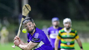 <p>Sarsfields' Jack O'Connor in action during the Red FM Division 1 Hurling League match between Sarsfields and Glen Rovers at Riverstown. Picture: David Creedon</p>