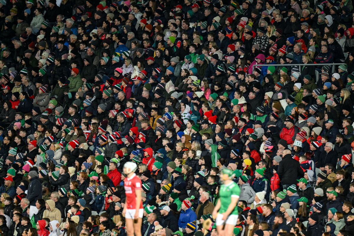 Supporters react during the second half. Picture: Brendan Moran/Sportsfile