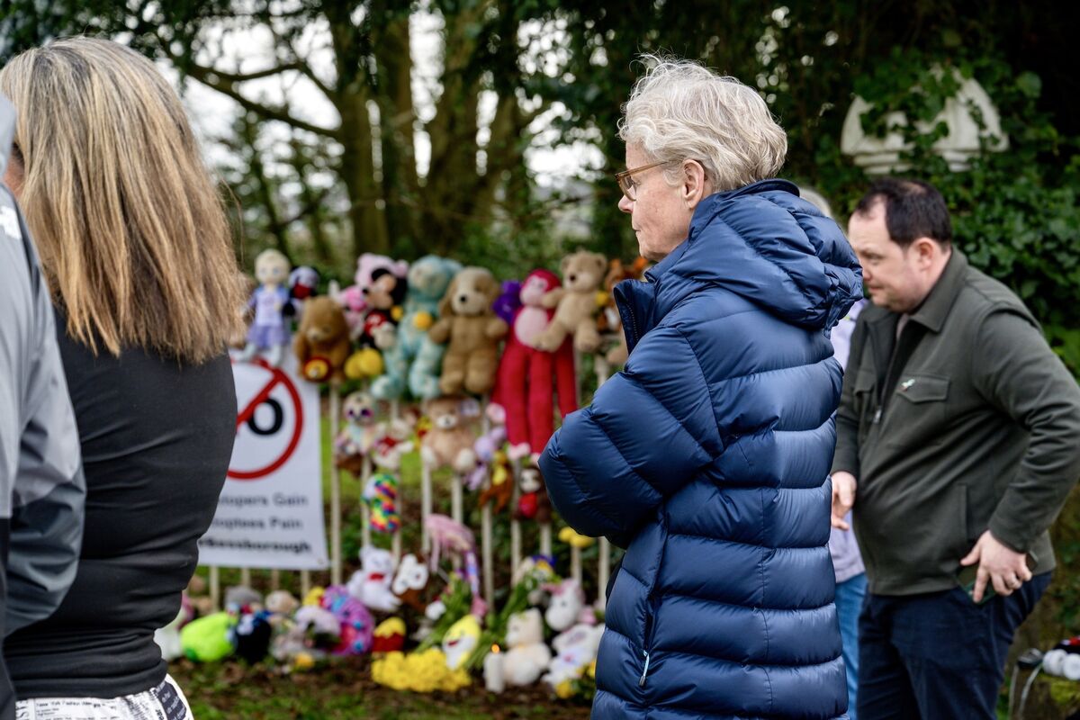  Some of the attendees at the gates of the Bessborough Mother and Baby Home to protest Cork City Council’s approval of 140 apartments on the site despite there burial places of 923 children who died there being unknown. Picture: Chani Anderson