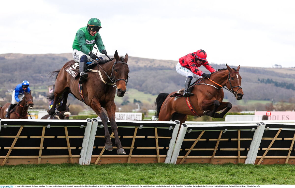 CORKERS: Jasmin De Vaux and Paul Townend, left, jump the last on their way to winning The Albert Bartlett Novices’ Hurdle Race, ahead of The Big Westerner and Darragh O'Keeffe at Cheltenham last year. Picture: Harry Murphy/Sportsfile