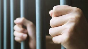 <p>Garda Ronan O’Sullivan said at Cork Circuit Criminal Court that David Cronin had 125 previous convictions, including 32 for burglary and 41 for theft.</p>