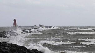 Yellow wind warning issued for the entire country