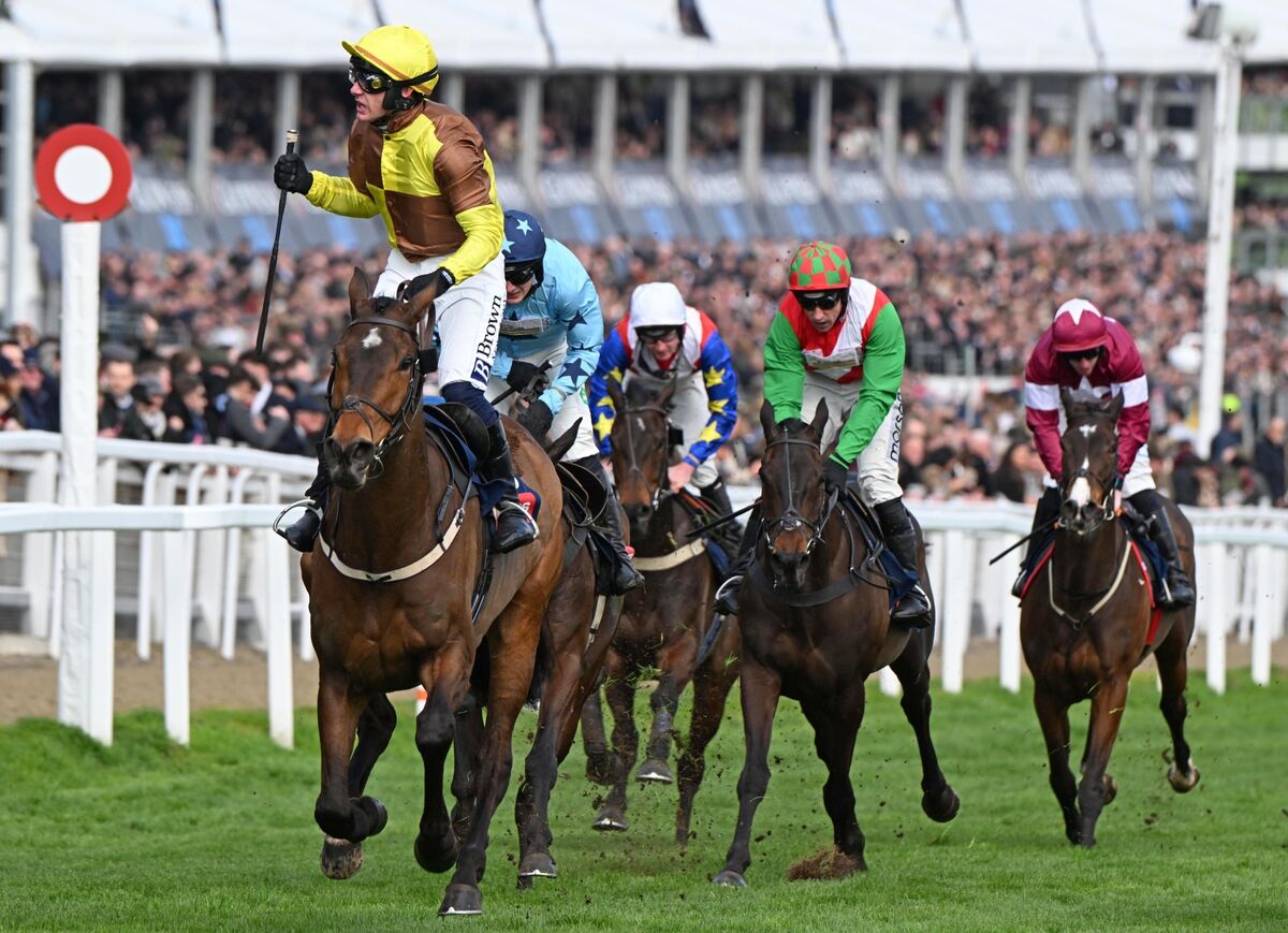 King Rasko Grey and Paul Townend win the Turners Novices' Hurdle (Grade 1). Picture: Healy Racing Photo
