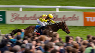 <p>IN FOCUS: Paul Townend on King Raski Grey on his way to winning the Turners Novices’ Hurdle at Cheltenham. Picture: INPHO/Morgan Treacy</p>
